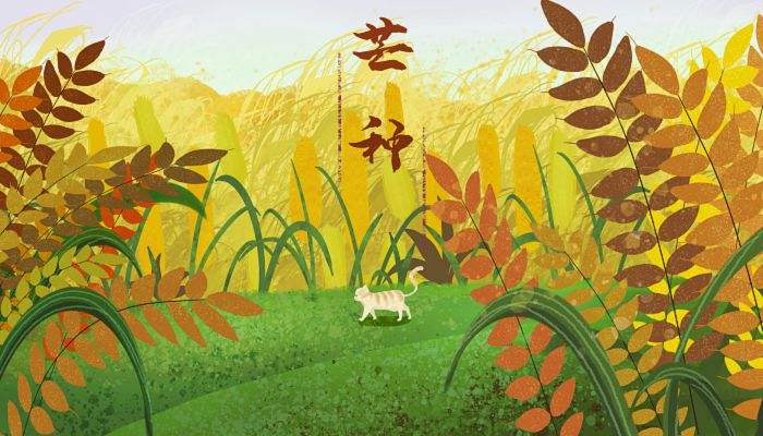 1654572831610836.jpeg 9ff00a66bb98620d02f1ac087072fddc.jpeg