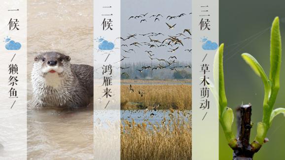 1676605707567804.jpeg 4a1e22576681d05e7cf4582a732559b4.jpeg